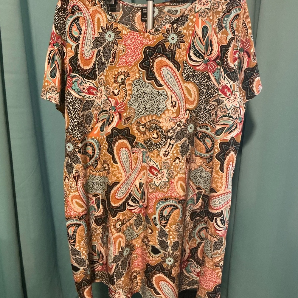 Colorful Paisley Print Polyester Dress in Women’s Plus size 4X
